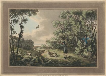 Pheasant Shooting