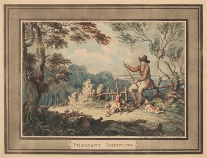 Pheasant Shooting