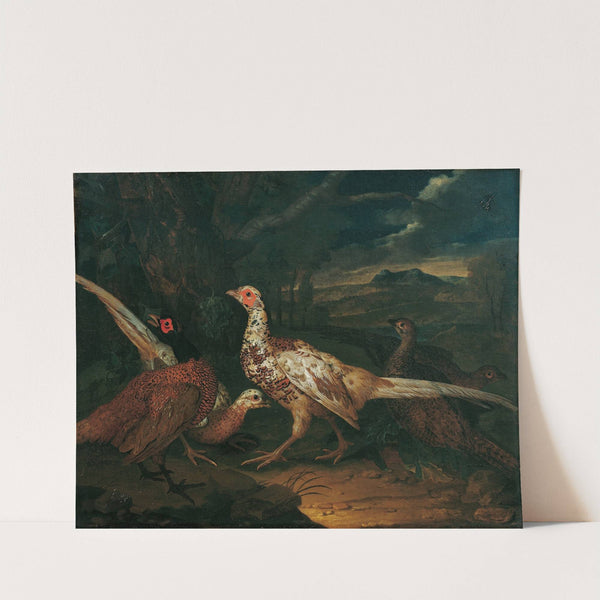 Pheasants (1745) by Philipp Ferdinand de Hamilton