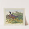 Pheasants (1829-1880) by Joseph Scholz