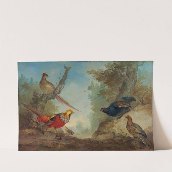 Pheasants (1730 - 1760) by Aert Schouman