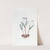 Pheasant's Feather Crocus by Sydenham Edwards