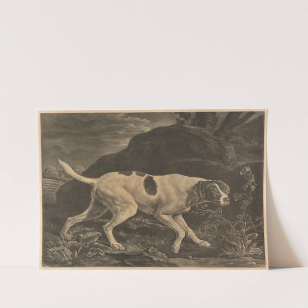 ‘Phillis’, a Pointer of Lord Clermonts (1772) by George Stubbs