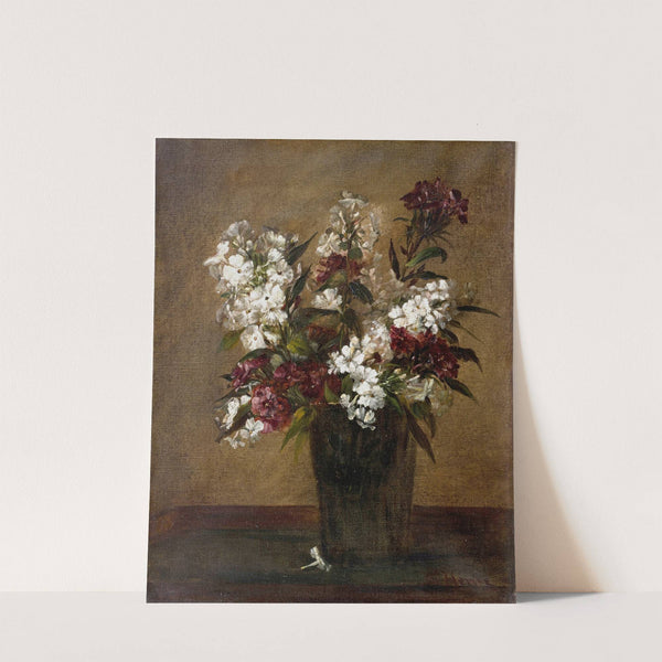 Phlox by Sara Henze