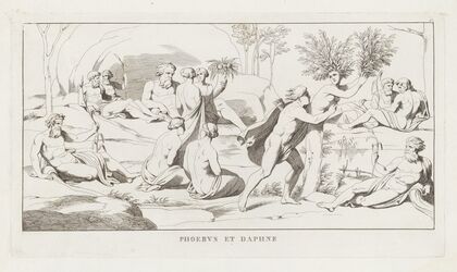 Phoebus et Daphne