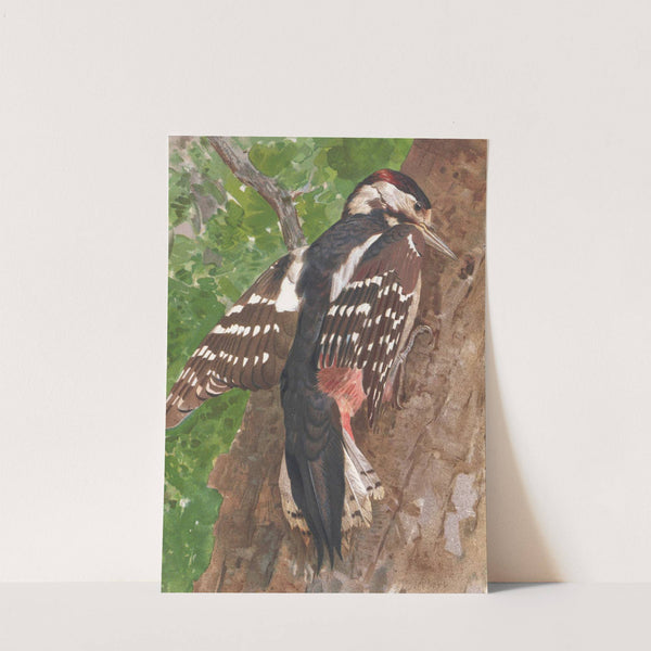 Pic Bigarré by Léo-Paul Robert