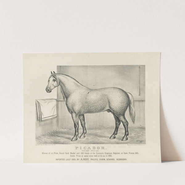 Picador; weight 1950 lbs. (1883) by Currier & Ives.