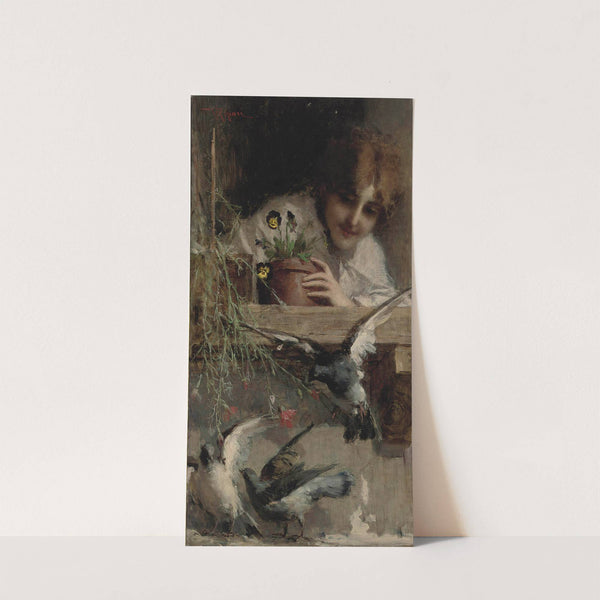 Piccioni alla finestra by Virgilio Ripari