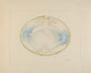 Pie Dish