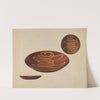 Pie Plate by Rolland Livingstone