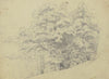 Study sheet; Boy’s head