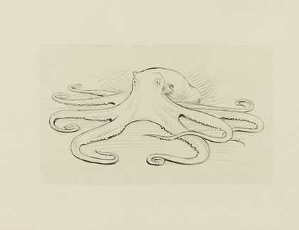Pieuvre – dessin pour le cul-de-lampe du chapitre 16 Le monstre vaincu (1920-1921)