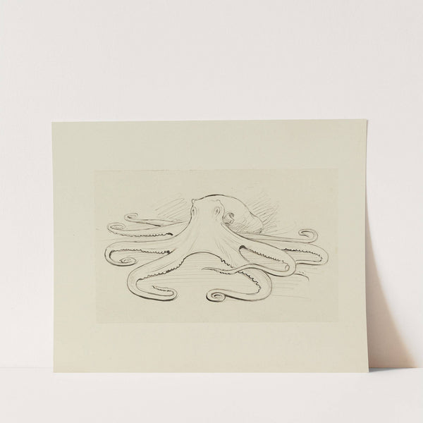 Pieuvre – dessin pour le cul-de-lampe du chapitre 16 Le monstre vaincu (1920-1921) by Achille Granchi-Taylor