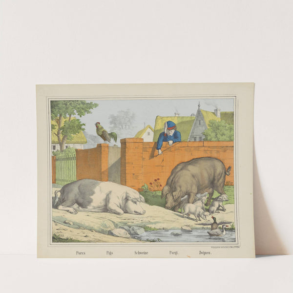 Pigs (1829-1880) by Joseph Scholz