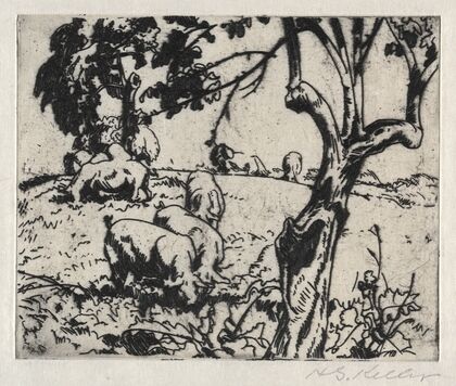 Pigs in Orchard