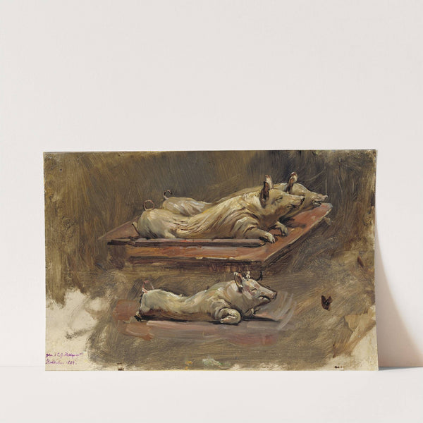 Pigs. Study for During Fasting Time by Carl Gustaf Hellqvist