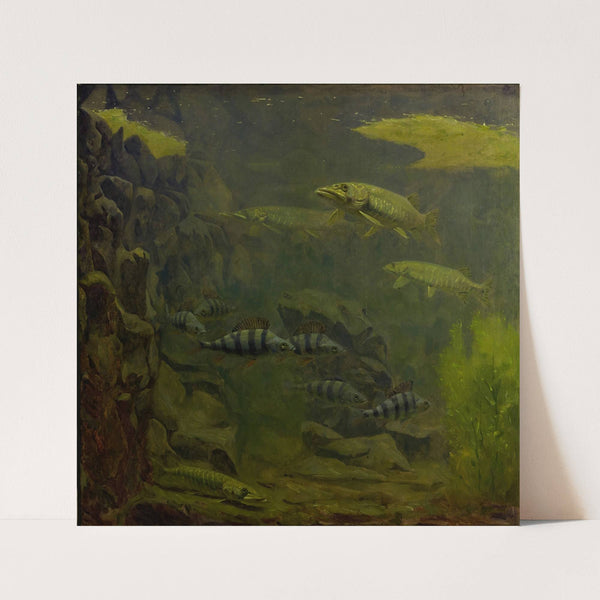 Pike and Perch in an Aquaruim (1910 - 1920) by Gerrit Willem Dijsselhof