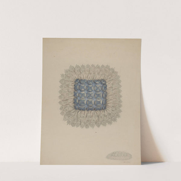 Pin Cushion by Eva Wilson