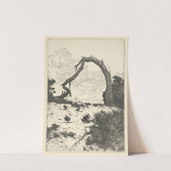 Pine Arch (1900-1925) by Ernest Haskell