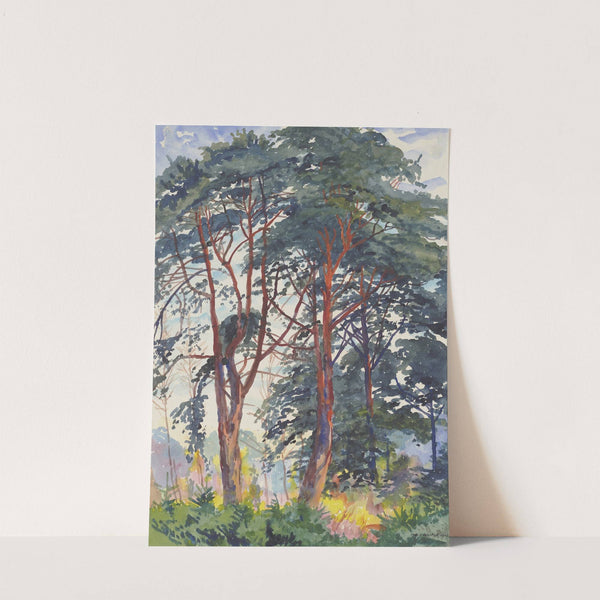 Pine forest by Philipp Franck