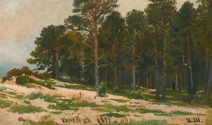 Pine Forest