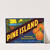 Pine Island Brand Citrus Label (1930-1950)