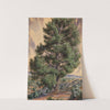 Pine Tree by Sandow