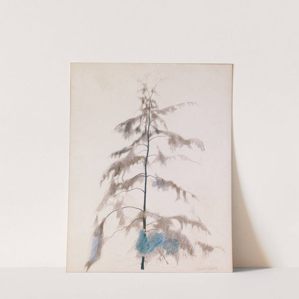 Pine Tree (1919) by Joseph Stella