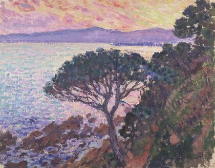Pine-Tree near the Mediterranean Sea at Sunset