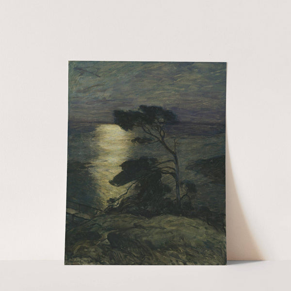 Pine Tree on the Coast in Moonlight by Thorolf Holmboe