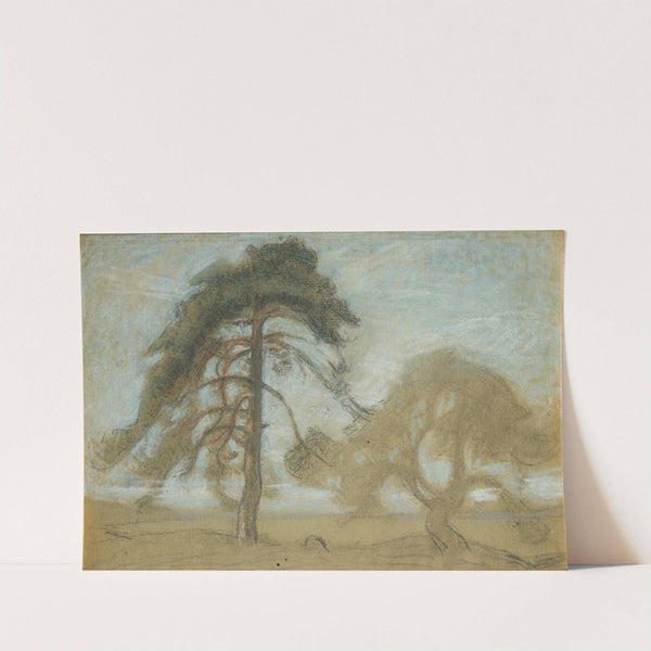Pine Trees Tyresö by Richard Bergh