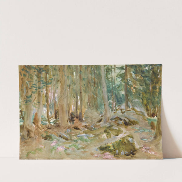 Pine Woods, Purtud by John Singer Sargent