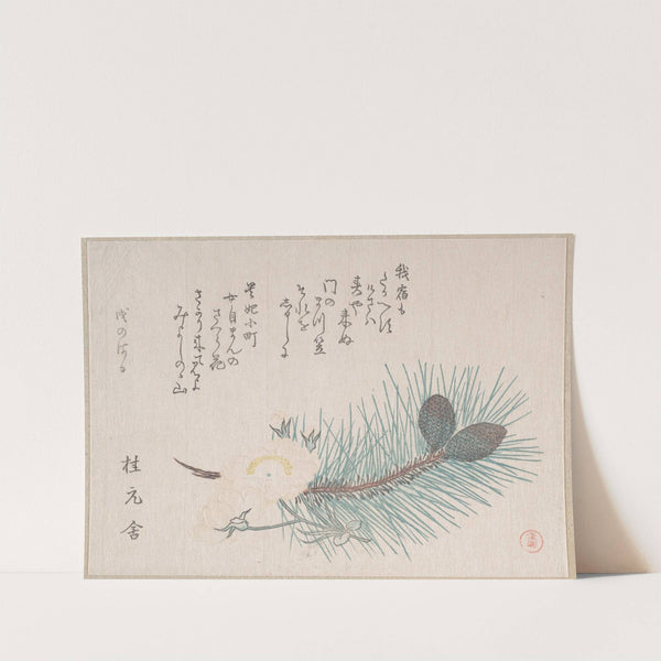 Pines and Cherry Blossoms by Kubo Shunman