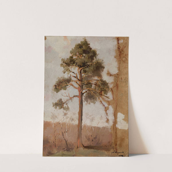 Pines at Połąga by Leon Wyczółkowski