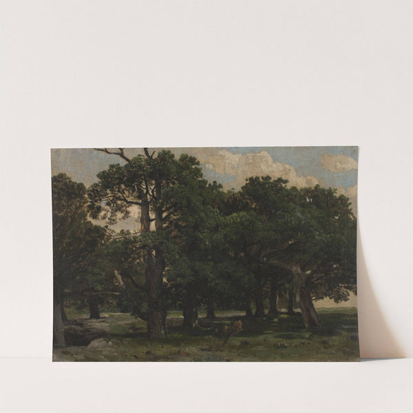 Pines by Józef Szermentowski