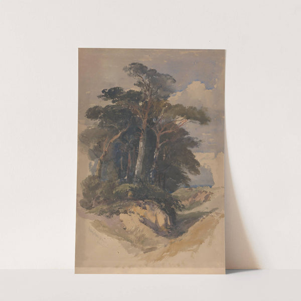 Pines on Hampstead Heath by William James Müller