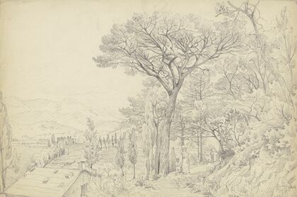 Pines on the Riviera