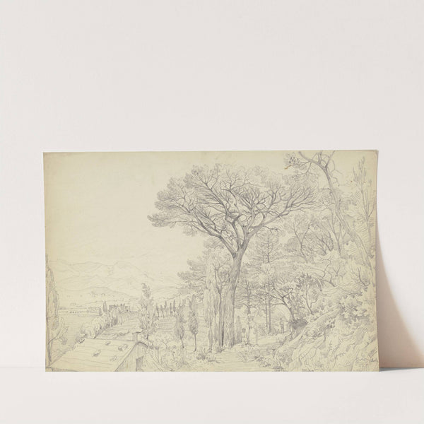 Pines on the Riviera by Carl Morgenstern