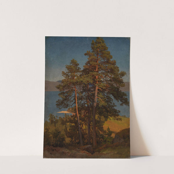 Pinetrees by August Cappelen