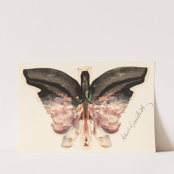 Pink Butterfly by Albert Bierstadt