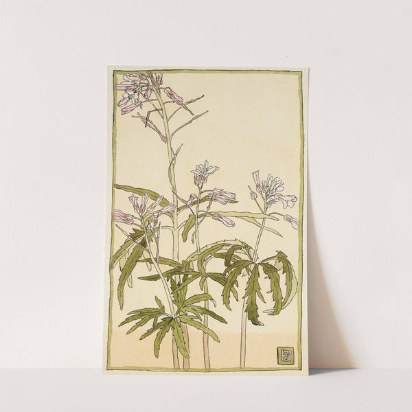 Pink Flowers with Spiky Green Leaves by Hannah Borger Overbeck