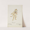 Pinocchio: Lion. Lion suit (1934-1943) by Paul Cadorette