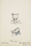 Pinocchio: Mouse Head. Grey mouse head (1934-1943)