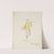 Pinocchio: Short yellow dress with ‘soft flowing silk fins on arms and iridescent silk tail’ (1934-1943) by Paul Cadorette