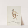 Pinocchio: The Brown Dog. Brown dog suit with red collar (1934-1943) by Paul Cadorette