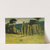 Pins Et Peupliers Dans Un Pré by Paul Sérusier