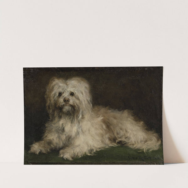 Pinscher Puss by Victor Müller