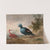Pintade de Numidie et caïque à tête noire et Ibis rouge et goura couronné by Aert Schouman