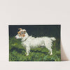 Piper, A Jack Russell Terrier by George Paice