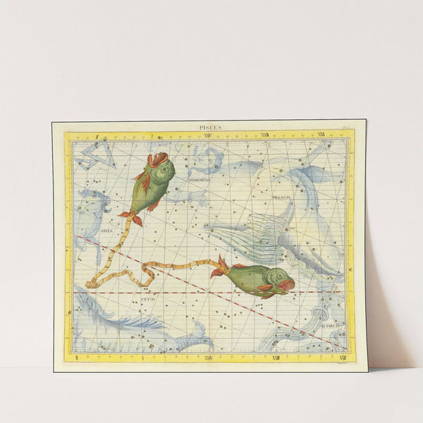 Pisces by John Flamsteed